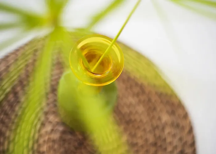 Durazno Sur 205 公寓